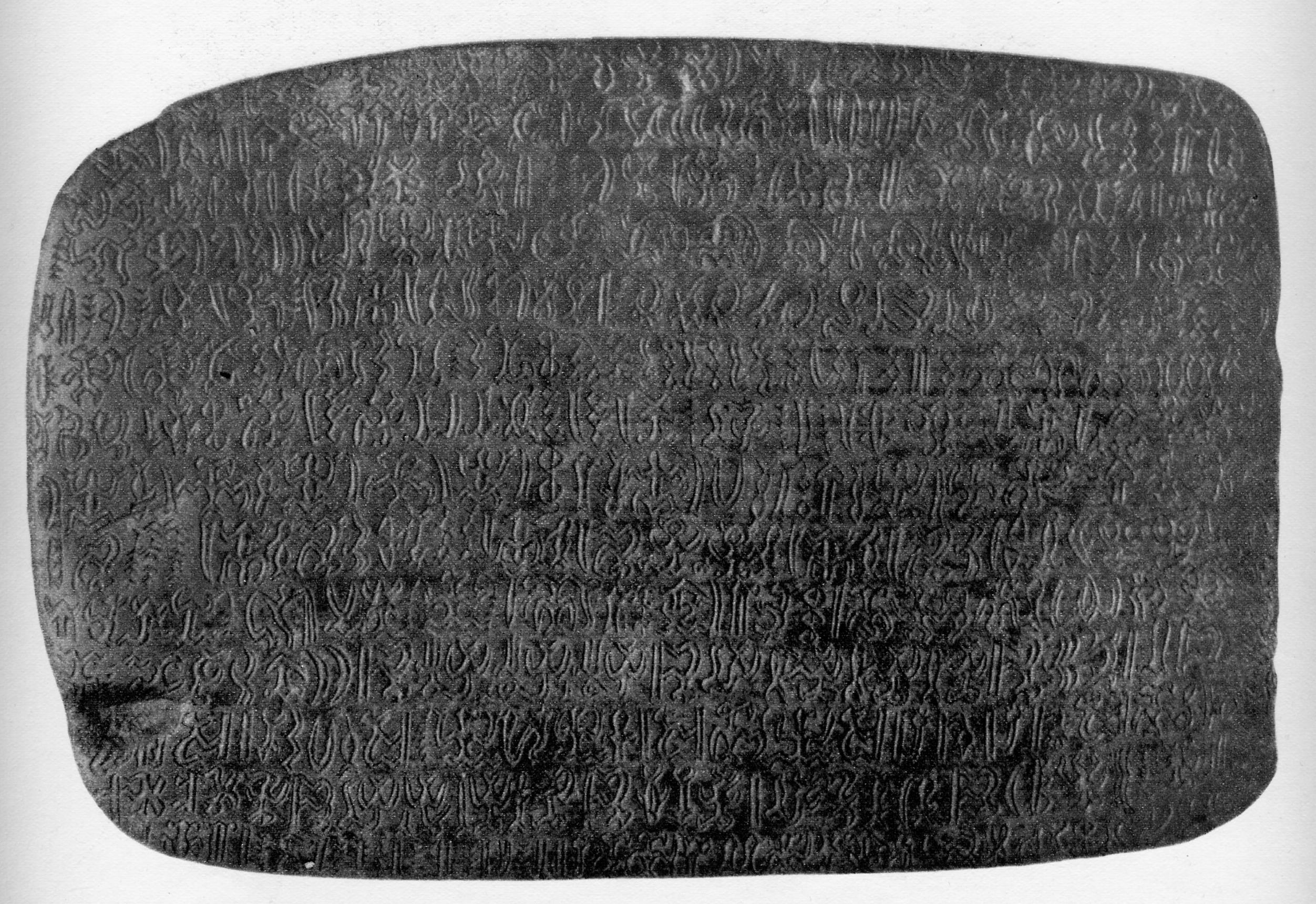 Ảnh bìa dự án Rongorongo