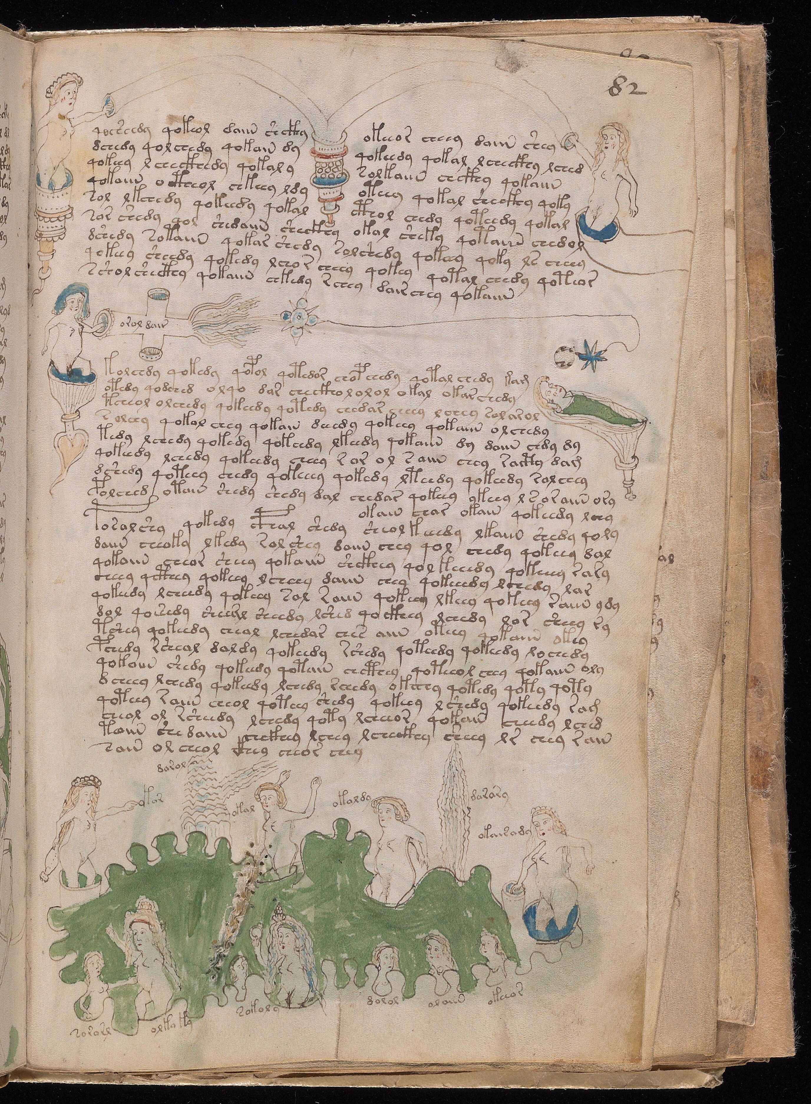 Ảnh bìa dự án Bản thảo Voynich